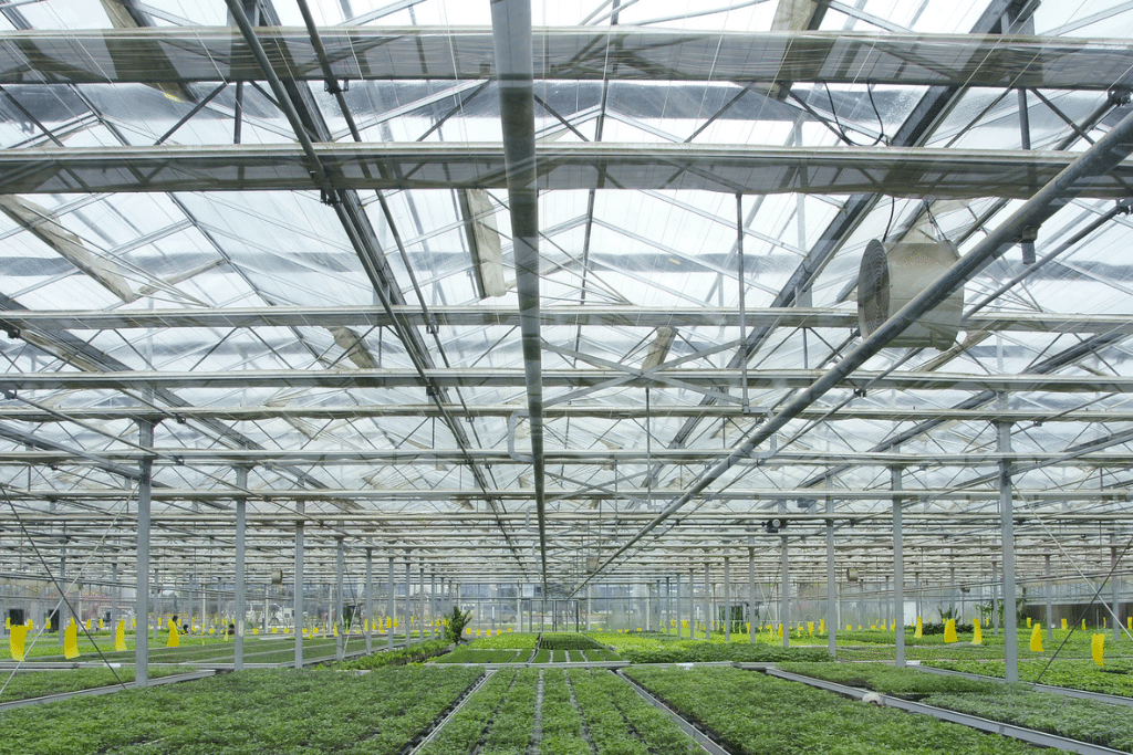 Smart Greenhouse Screens: The Game-Changer in Modern Farming