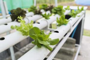 Ventilation in Hydroponic and Custom Systems