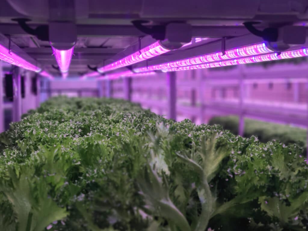 Vertical farming