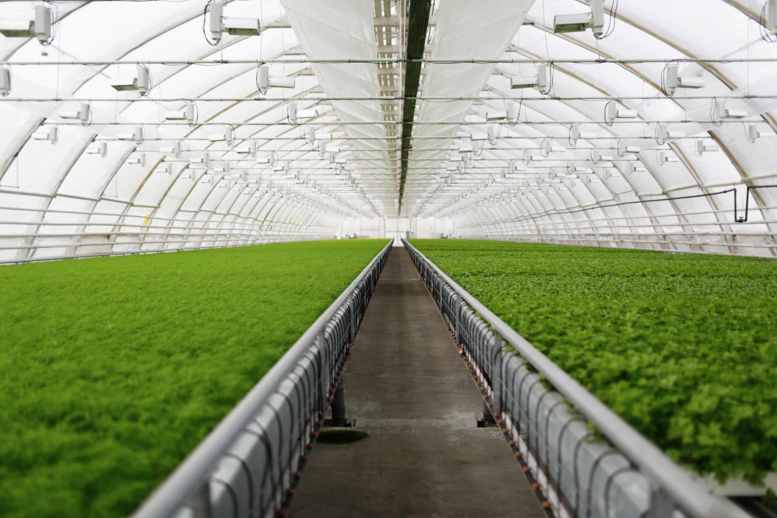 Green house ventilation