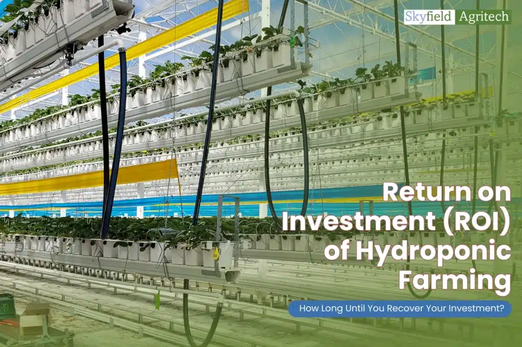 ROI of hydroponic farming: How long until you recover your investment - Skyfield Agritech