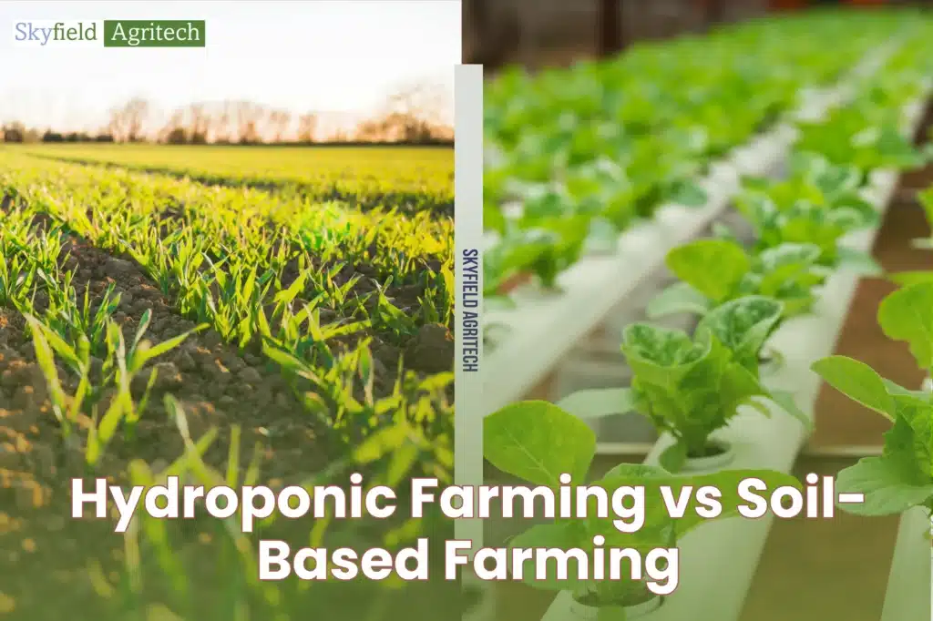 Hydroponic Farming vs Soil-Based Farming