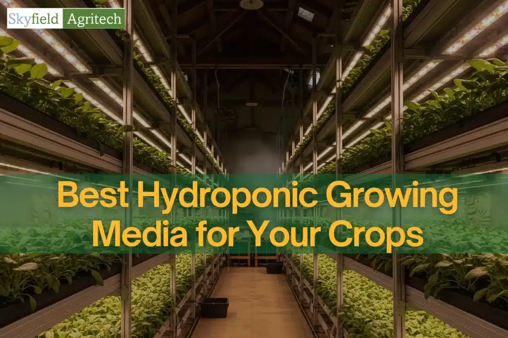 How to Choose the Best Hydroponic Growing Media for Your Crops - Skyfield Agritech