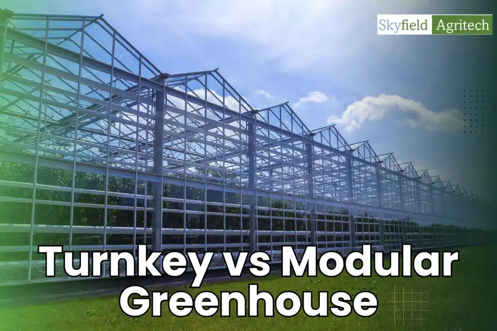 Turnkey vs Modular Greenhouse: Which Solution is Right for Your Farm?