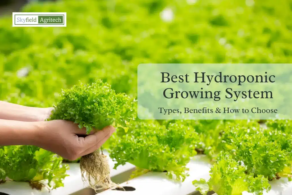 Best Hydroponic Growing System Types, Benefits & How to Choose