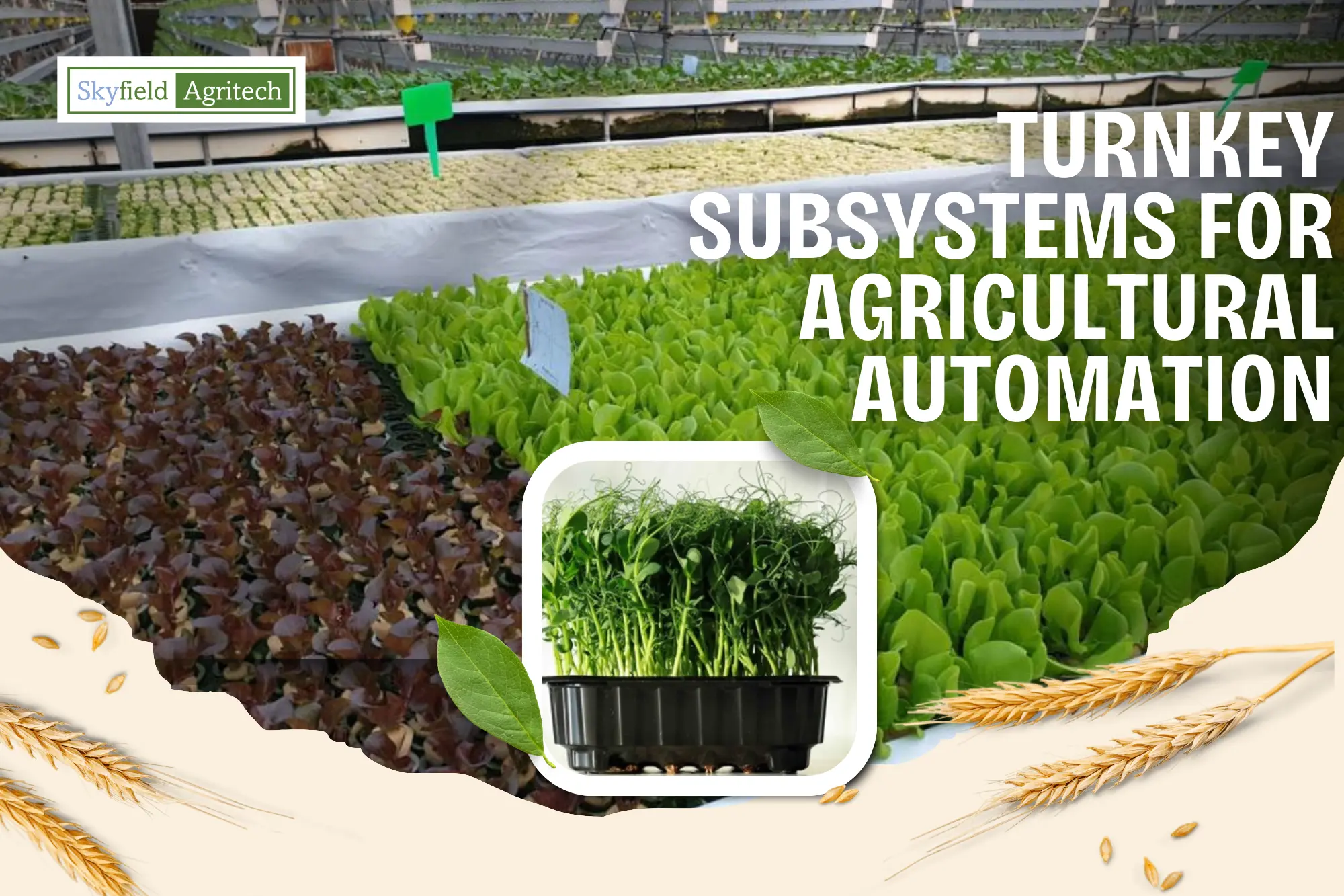 Turnkey Subsystems for Agricultural Automation in UAE