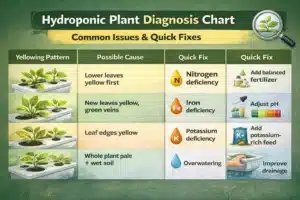 Hydroponic plant diagnosis chart showing yellowing patterns, nutrient deficiencies, overwatering causes, and quick fixes for common hydroponic farming mistakes.
yellow leaves on plants